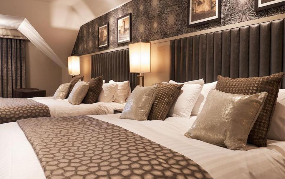 Hotel Tulip Near Delhi Airport ニューデリー 部屋 写真